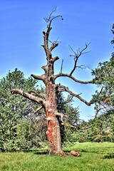 The Lednice-Valtice area is a UNESCO monument