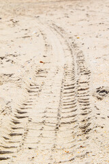 Car footprint in the sand. The car is driving along the beach. Car tire tracks in the sand.