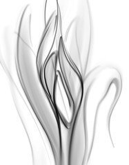 abstract smoke flower art  background 