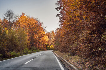 Beautiful autumn view of yellow trees, road and mountains, Montenegro