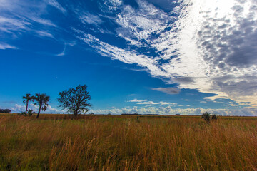 Kissimmee Prairie Preserve State Park, Florida