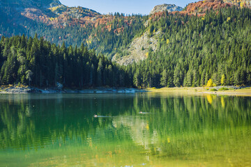 Panoramic morning view of Black Lake Crno Jezero. Calm summer scene of Durmitor Nacionalni Park, Zabljak location, Montenegro, Europe. Beauty of nature concept background