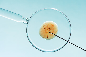 In vitro fertilisation concept. Artificial insemination or fertility treatment macro photography.