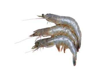 หนังสือเล่มนี้เป็นของ