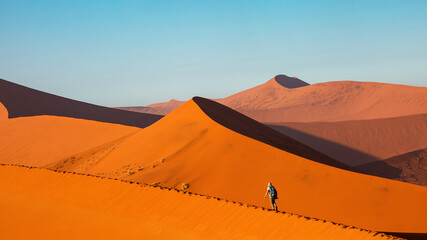 Fototapeta na wymiar Tourist walks up the dunes of Sossusvlei, Namibia, Africa