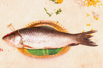 Catla (Katla) fish in a bowl at restaurant or home. Indian cuisine Bengali Fish . Asian food and...
