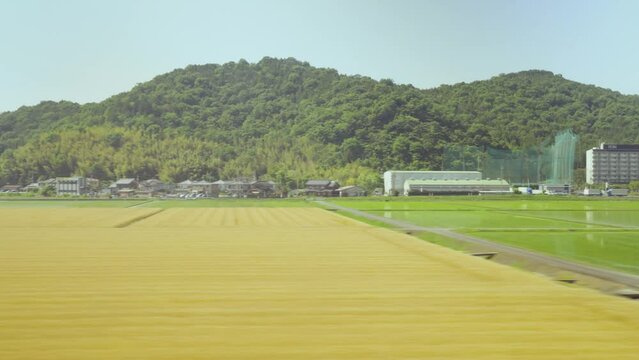 新幹線から見た初夏の田園地帯