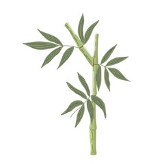 Bamboo leaves simple flat style vector illustration, traditional japanese plant, oriental decorative ornament for design, greeting card, template, banner, zen concept