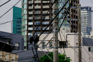 電線とビルたち