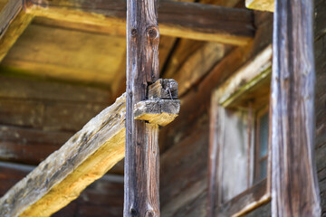 old wooden door handle