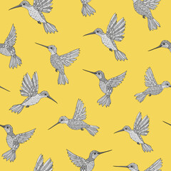 Vector seamless pattern with hummingbird. Decoration print for wrapping, wallpaper, fabric. Seamless vector texture. 