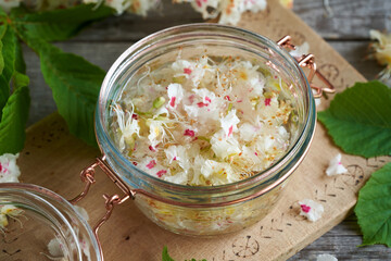 Preparation of tincture from horse chestnut blossoms in spring