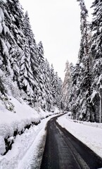 Obraz premium road in snow