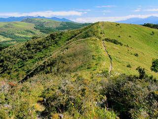 Fototapeta premium 秋の山(長野県 霧ヶ峰・鷲ヶ峰)