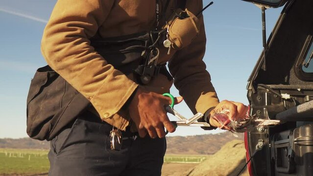 Close up shot of a person cutting up a bird with scissors then putting it into a plastic bag in preparation for falconry training next to farm fields in a dry arid place with mountains 