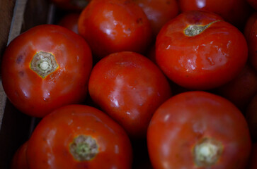 Venta de tomate, tomate rojo