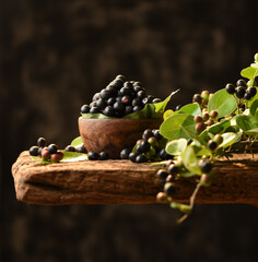 Karwanda Karonda Indian Wild Berry