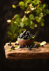 Karwanda Karonda Indian Wild Berry