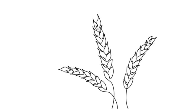 Single continuous wheat grain one line art. International food cereals production export concept. Design sketch outline drawing vector illustration