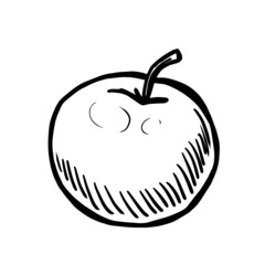 Apple vector illustration isolated on white background