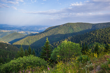 Fototapeta premium Summer Countryside Mountain Nature Landscape. Picturesque Scenery Green Hills And Fields. Beautiful Blue Sky With Clouds. Visually Attractive View.