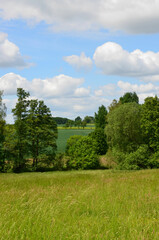 Frühlingslandschaft in der Lausitz