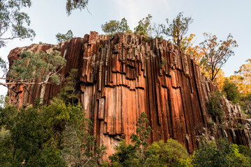 Organ piping columnar basalt rock formation. Sawn Rocks at Mt. Kapatur National Park near Narrabri, NSW, Australia. Rare hexagonal organ piping rock formation - remains of volcanic lava flow - obrazy, fototapety, plakaty