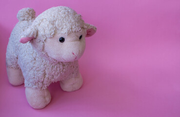 teddy sheep on pink background. Eid-al-Adha, festival of sacrifices (in turkish: kurban bayramı) concept. space for text