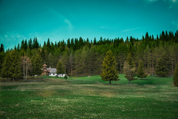 Fototapeta na wymiar landscape with trees, blue sky and little church