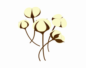 Set of cotton flowers in different angles of milky color