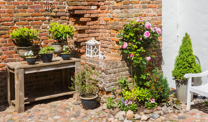 Fototapeta na wymiar Flowers and plants in front of an old brick wall in Harderwijk, Netherlands