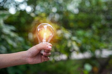 light bulb against nature, icons