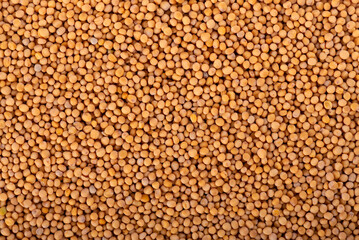 Mustard seeds background. Dry mustard grains. Top view.