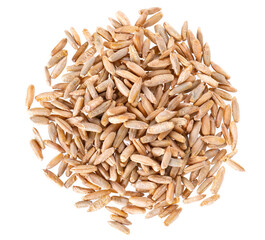 Rye grains isolated on white background. Pile of rye malt seeds close up. Dry grains of winter rye....