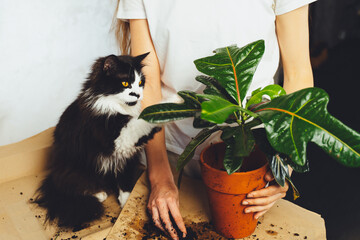 Fototapety na wymiar - Fototapeta24.pl