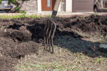 Digging forks stick out in ground..