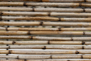 Background of old bamboo canes
