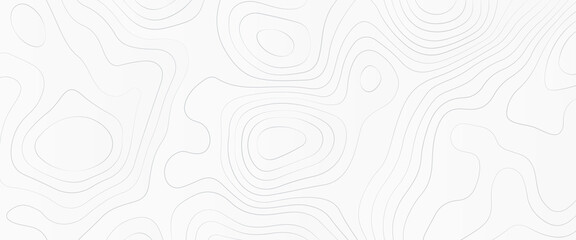 Luxury white abstract line art, topographic background and texture, monochrome image. 3D waves, cartography Background, white wave paper curved reliefs abstract background.	
