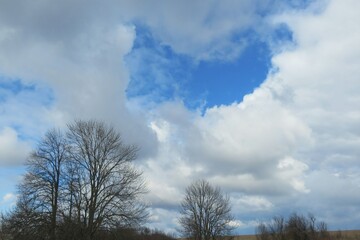 Beautiful nature landscape, view of blue sky and trees, europe