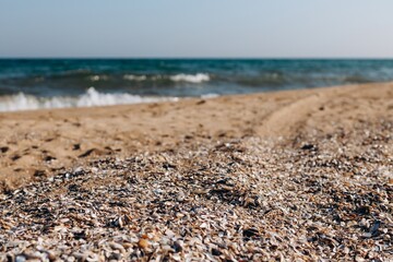 crushed seashells by the sea. photo from below with focus in the foreground. texture