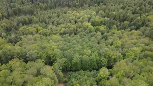 Aerial view of forest and mountains in Kaiserslautern Germany