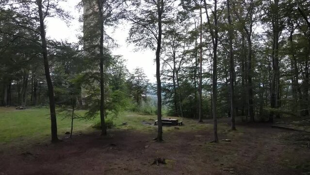 Aerial view of forest in Kaiserslautern Germany