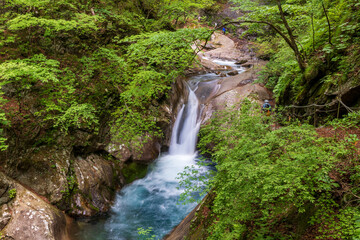 Fototapeta na wymiar 新緑の西沢渓谷ハイキング