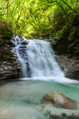 道志村新緑の的様の滝
