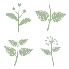 Leaves vector set isolated from the background Leaves different shapes in modern flat style