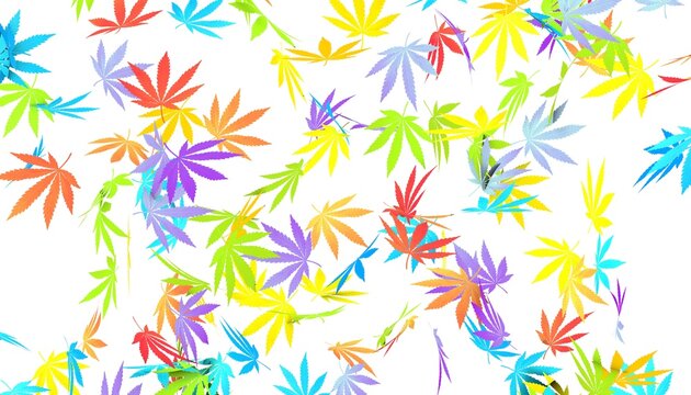 Cannabis leaves fall on a white background. 3D render	