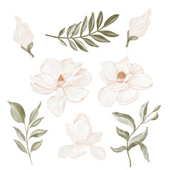 Set of beige magnolias with leaves