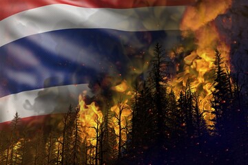 Forest fire fight concept, natural disaster - flaming fire in the woods on Thailand flag background - 3D illustration of nature