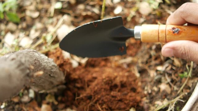 gardening tools and plant on a table with copy space 