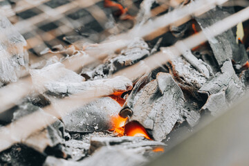 Barbecue meat on skewers grill food. grilling traditional summer picnic marinated pork on coal portable ember brazier with smoke and flames. Lifestyle street food preparation in backyard countryside.